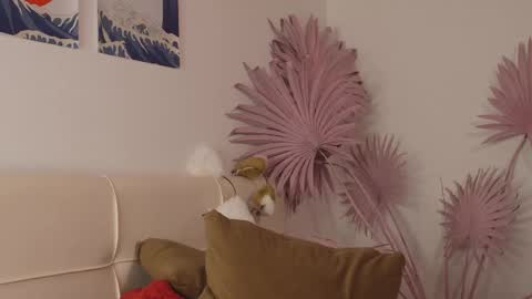 tiffanyjons online show from 02.28.25