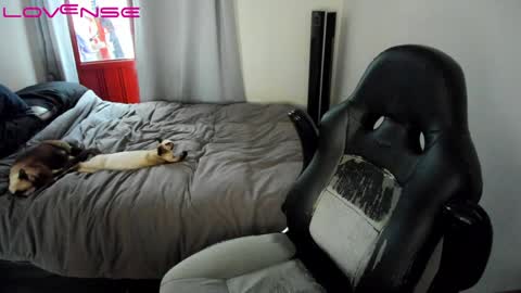 Tina online show from 01.22.25