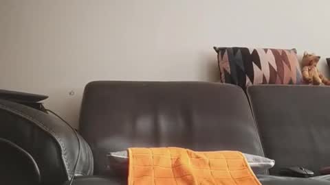 tinydick online show from 06.11.26