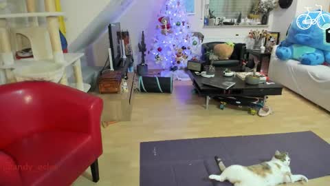 Snapshot of tiny_williams chatting on 12.03.25 Tiny online show from 12.03.25