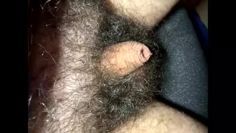 tinycocker online show from 09.17.25