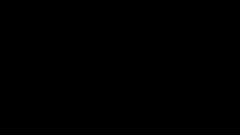 tinydaisy22 online show from 11.25.25