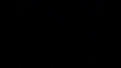 tinydaisy22 online show from 03.18.26