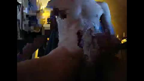 tizh online show from 04.16.26