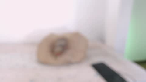 Snapshot of toadboys chatting on 02.03.25 David online show from 02.03.25