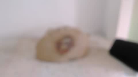 Snapshot of toadboys chatting on 02.06.25 David online show from 02.06.25