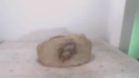 Snapshot of toadboys chatting on 02.07.25 David online show from 02.07.25