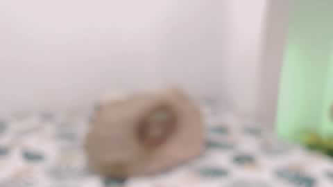 Snapshot of toadboys chatting on 02.10.25 David online show from 02.10.25