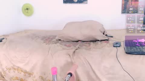 Snapshot of toadboys chatting on 09.18.25 David online show from 09.18.25