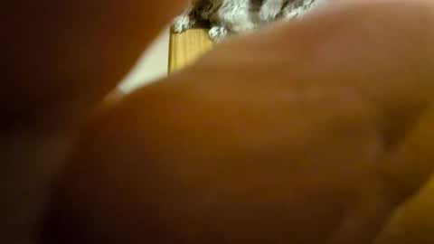 Toady online show from 12.08.24