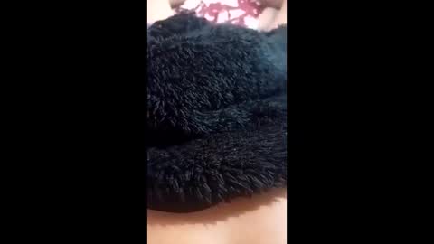 tobehot online show from 05.09.26