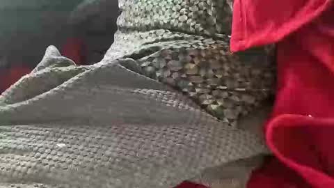 Snapshot of tom6644 chatting on 01.09.25 Tom online show from 01.09.25