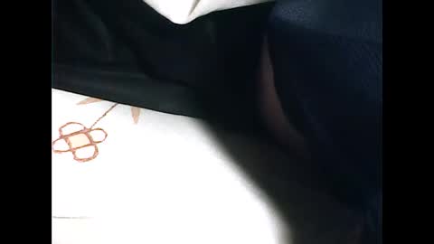 Snapshot of tomas0000 chatting on 10.29.25 thomi online show from 10.29.25