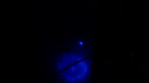   Thomas    online show from 01.21.25