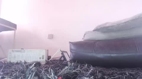   Thomas    online show from 02.26.26