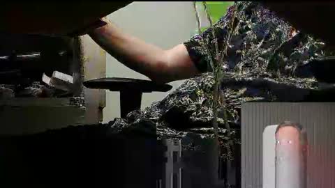 Snapshot of tontin69 chatting on 03.31.26 tontin69 online show from 03.31.26