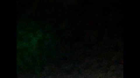 Snapshot of tonydigitt chatting on 01.04.25 tonyd online show from 01.04.25