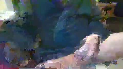 Snapshot of topcat127 chatting on 01.26.25 Topcat127 online show from 01.26.25