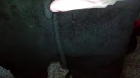 Topg84 online show from 12.15.24