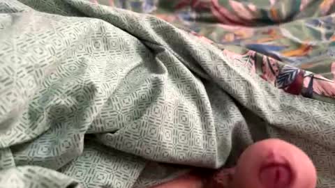 tos12345 online show from 11.21.25