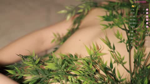 Toshi online show from 01.20.25