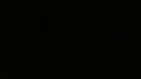 Snapshot of totoro_239 chatting on 03.24.26 totoro_239 online show from 03.24.26