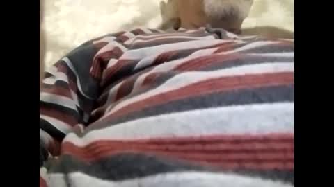 Snapshot of tra649167 chatting on 02.09.25 tra649167 online show from 02.09.25