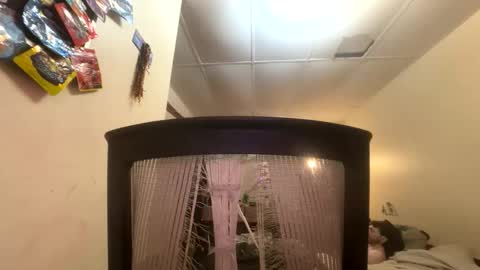 tracy227 online show from 11.09.25