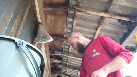 Tralalabala online show from 03.05.26