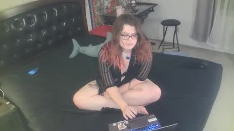 tranicpixiedreamgrl online show from 11.25.25
