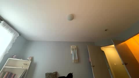 transgirl007 online show from 05.24.26