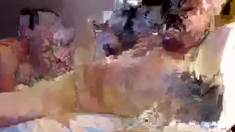 trojanswingers online show from 02.11.25