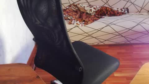 Snapshot of trone41 chatting on 02.03.26 I POST MY FUCKING VIDEOS AND PICS online show from 02.03.26