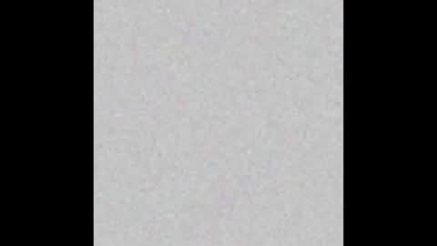 Snapshot of tropicalmadness chatting on 02.26.26 Archie Torres online show from 02.26.26