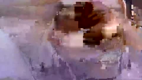 troy1965 online show from 04.26.26