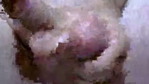 troy1965 online show from 04.28.26