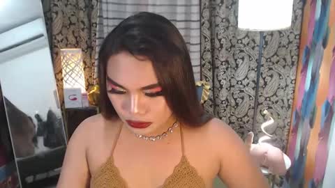 Snapshot of tsbrianabankhugecock chatting on 01.11.25 brianna online show from 01.11.25