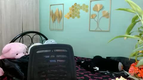 Snapshot of tsempress chatting on 11.03.25 SHENA online show from 11.03.25