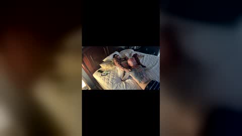 Snapshot of tslizzy0084 chatting on 03.29.26 tslizzy0084 online show from 03.29.26