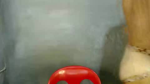 Paulyn online show from 01.07.26