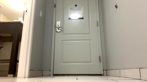 Queen Orleans online show from 01.14.25