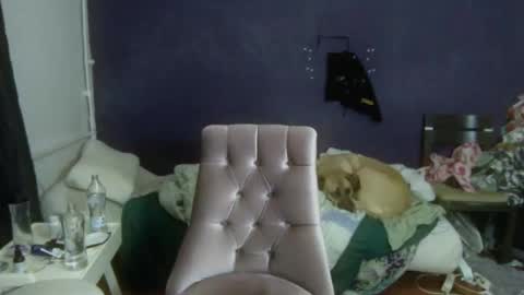 Snapshot of turkishtranswithsurgery chatting on 12.20.25 turkishtranswithsurgery online show from 12.20.25