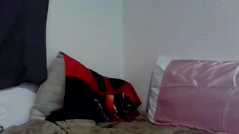 Turnmetrans online show from 01.11.26