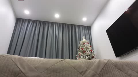 Ariana online show from 12.16.24