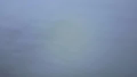 Ariana online show from 01.09.26