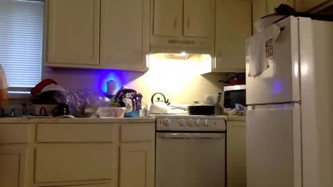 Twin and Lea online show from 12.21.25