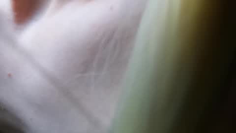 Vicky  Victor online show from 03.07.25