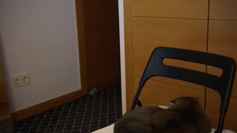 Snapshot of twinksweetlovehot chatting on 12.05.24 twinksweetlovehot online show from 12.05.24