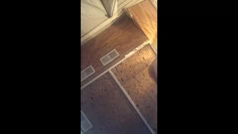 Snapshot of twistercouple3371 chatting on 03.10.26 twistercouple3371 online show from 03.10.26