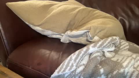 ty223222 online show from 02.06.25